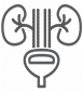 Urology